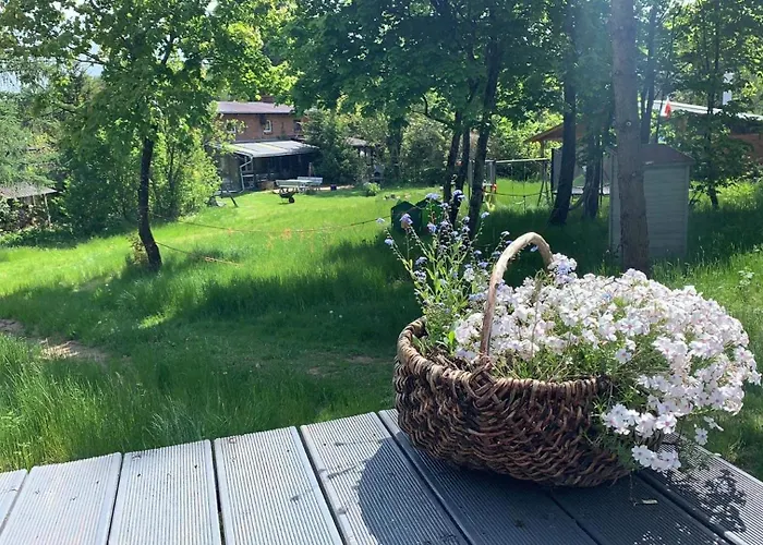 Dziad בית נופש