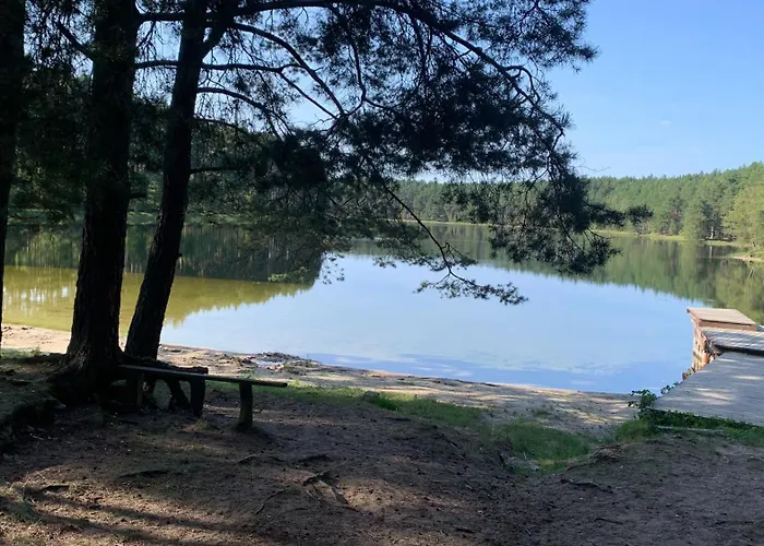 Dziad בית נופש *